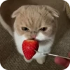 Set_269_by_makestick3_bot 15