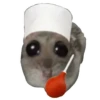 Hamster | More stickers here > 23