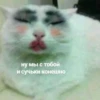 debosh_cats 26