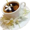 / FOOD 28