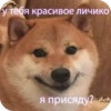 Ptichka 23