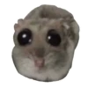 Hamster | More stickers here > 26