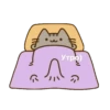 Anime_mem 29