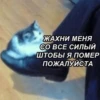 debosh_cats 30
