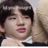 stan straykids 6