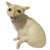 Bitch_Moooood / 8