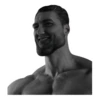 Memes Stickers by 6