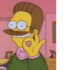 The Simpsons 14