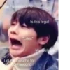 stan straykids 13