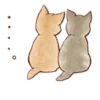 Kitten daily 🐈 6