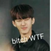 stan straykids 14