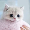 MOlwszZ_by_achestickbot 9