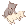 Kitten daily 🐈 7
