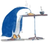 Pinguinki 10
