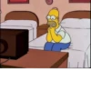 The Simpsons 20