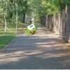 VWhgQQQ_by_achestickbot 19