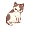 Kitten daily 🐈 12