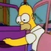 The Simpsons 23