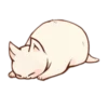 Kitten daily 🐈 14