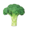 food 10