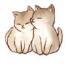 Kitten daily 🐈 17