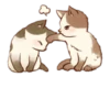 Kitten daily 🐈 18