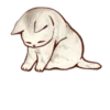 Kitten daily 🐈 19