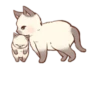 Kitten daily 🐈 21