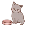 Kitten daily 🐈 22
