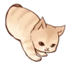 Kitten daily 🐈 23