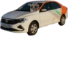 Mavka Hamster 5