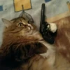 Suicide cats 7