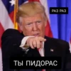Memes Compilation 5 8