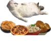 Kisunya_the_cat_Queen 6