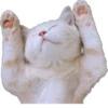 Kisunya_the_cat_Queen 7
