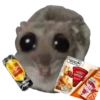 Mavka Hamster 8