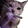Kisunya_the_cat_Queen 9
