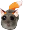 Mavka Hamster 10