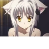 DxD • 9
