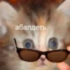 Suicide cats 11