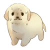 Golden Retriever Puppy 1-3 7