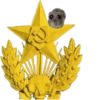 Mavka Hamster 12