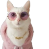 Kisunya_the_cat_Queen 11