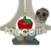 Mavka Hamster 13