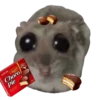 Mavka Hamster 14