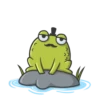 Mr Frog 6