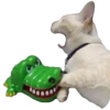 Funny animals 10
