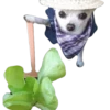 Funny animals 11