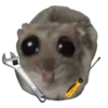 Mavka Hamster 17