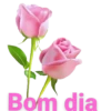 GP_AMIZADES 15